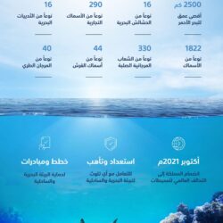 “الحج” تطالب المعتمرين والزوار بتجنب الافتراش والنوم بالمسجد الحرام