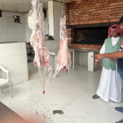 “البيئة” تحدد أنجح أنظمة الري الموفّرة لاستهلاك المياه في الزراعة المنزلية