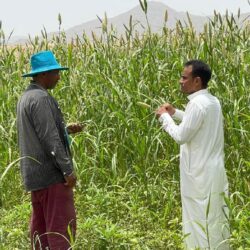 “الموارد البشرية” تُنظّم ملتقى “التحول الرقمي” في عدة مناطق.. لاستعراض أبرز الإنجازات