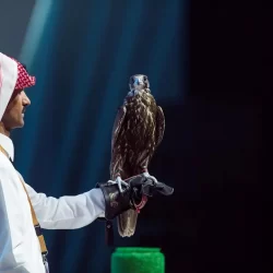 في خطوة جديدة .. المملكة تمنح التأشيرات الإلكترونية لـ 8 دول جديدة