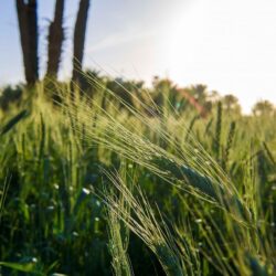 صندوق الاستثمارات العامة يعلن: حجم الأصول المدارة بلغ 2.23 تريليون ريال