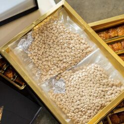 مروّجو المواد المخدّرة في قبضة رجال الأمن.. فيديو يرصد القبض على المتورّطين