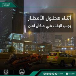 دوري روشن السعودي للمحترفين: النصر أمام الفتح والشباب في مواجهة ضمك