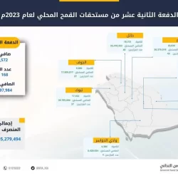 جراحة ناجحة بالطائف تنقذ أربعينية من كيس كبير يحمل أجساماً شبه صلبة بالمبيض