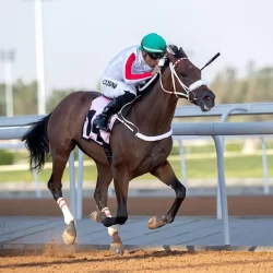 اللواء القرني يرأس وفد المملكة المشارك في اجتماع مديري أجهزة مكافحة المخدرات بدول مجلس التعاون