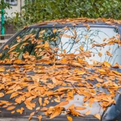 روسيا: مسيرتان للتحالف الدولي اقتربتا بشكل خطير من مقاتلاتنا بأجواء سوريا