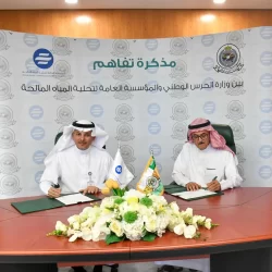 “الرمان”.. فاكهة الـ”سراة”