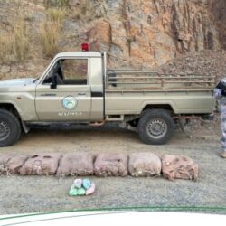 الإيسيسكو تطلق قافلة مساعدات ثانية لمساعدة متضرري الزلزال بالمغرب