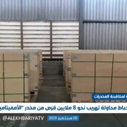 الرئيس التنفيذي للصندوق السعودي للتنمية يلتقي رئيس لجنة حماية البيئة في طاجيكستان