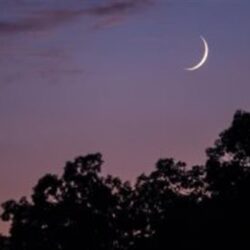 فيفا: الهلال بات يضم في صفوفه الهداف التاريخي لمنتخب البرازيل