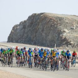 “الغطاء النباتي” يستعرض أبرز انجازاته ومبادراته في معرض “سيتي سكيب العالمي”