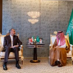 “مسيرة الخيول” تجوب شوارع وميادين نجران احتفاءً باليوم الوطني الـ93