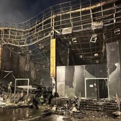 “سعوديون نحن لنا جذورٌ”.. أغنية “الغطاء النباتي” احتفالًا باليوم الوطني