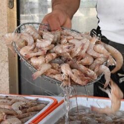 “الأهلي” يعلن تعاقده مع فراس البريكان.. لمدة 5 مواسم