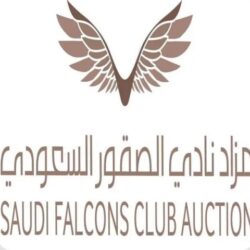 “النمر”: إدمان المسكنات مثل دواء الباراسيتامول يُعَرّض المريض لمضاعفات جانبية