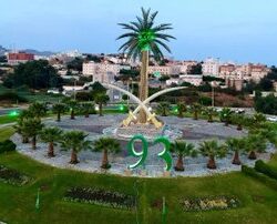 السجن عامين وغرامة 20 ألف ريال لمندوب يصنّع ويغش مستحضرات بيطرية