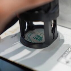 شوارع وميادين جدة تتوشح باللون الأخضر احتفاءً باليوم الوطني الـ93