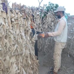 “البيئة”: ربط تطبيق “مرشدك الزراعي” مع “الأرصاد” أسهم في تعزيز دور المزارعين في تحقيق الأمن الغذائي