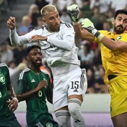 دوريات المجاهدين بجازان تقبض على شخص لنقله (15) مخالفًا لنظام أمن الحدود