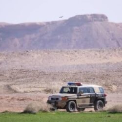 سمو محافظ الطائف يطّلع على برنامج تقييم الأضرار والمعالجات المتكاملة والمستدامة للحياة الفطرية