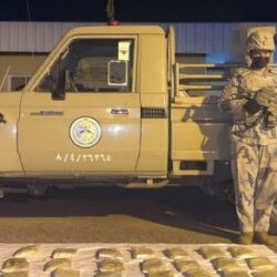 مكافحة المخدرات تقبض على مخالف لنظام أمن الحدود بمحافظة فيفا لترويجه (10.1) كيلوجرام من مادة الحشيش المخدر