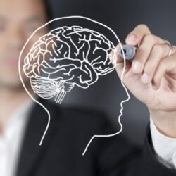 حرس الحدود بجازان يحبط محاولة تهريب (94) كيلوجرامًا من نبات القات المخدر