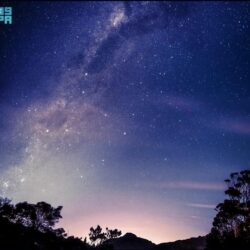 الصحة: تنصح بالحصول على لقاح الإنفلونزا الموسمية