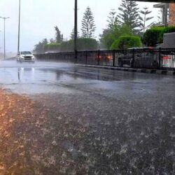 محمية الإمام تركي بن عبدالله الملكية تعمل على إنشاء محمية فلكية بمعايير عالمية في النفود الكبير