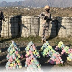 دوريات الأفواج الأمنية بعسير تقبض على شخص لترويجه (185) كيلوجرامًا من نبات القات المخدر