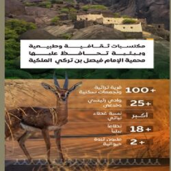 المرور : الانحراف المُفاجئ على الطريق يُعرض حياة قائد المركبة وحياة الآخرين للخطر