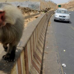 حالة الطقس المتوقعة اليوم الأثنين