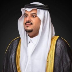 خلال أسبوع المناخ .. “البيئة” والأمم المتحدة تضعان إطارًا لمواجهة تحديات تدهور الأراضي والتغير المناخي