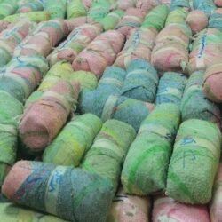 الأمم المتحدة تؤكد صحة حصيلة الشهداء الصادرة عن وزارة الصحة الفلسطينية