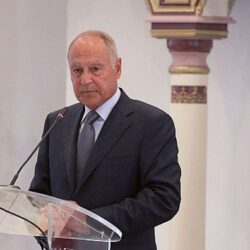 العسومي: القرار الأممي بشأن غزة يجب أن تصحبه ضغوط لتنفيذه