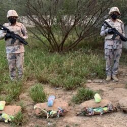 أمير الباحة يناقش خدمات فرع وزارة النقل والخدمات اللوجستية بالمنطقة