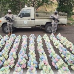 الغذاء والدواء” و”الصحة” توقعان اتفاقية لتبادل البيانات