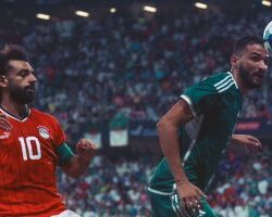 بيئة الباحة تقيم دورة الغطاء النباتي وتوزيع الموائل البيئية بالمملكة