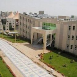 10 طواريح يبيعون صقورهم الـ 3 في سابع ليالي مزاد نادي الصقور السعودي