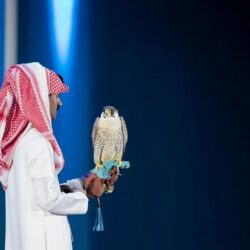 حرس الحدود بجازان يحبط محاولة تهريب (220) كيلوجرامًا من نبات القات المخدر