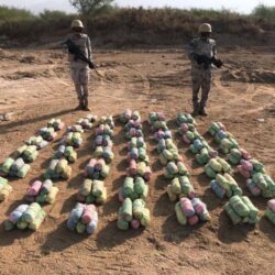 حرس الحدود بجازان يقبض على (8) مخالفين لنظام أمن الحدود لمحاولتهم تهريب (88) كيلوجرامًا من نبات القات المخدر