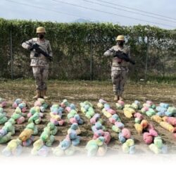 سمو وزير الدفاع يتلقى اتصالًا هاتفيًا من وزير الدفاع البريطاني