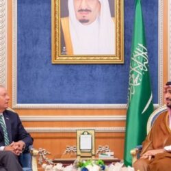 الرئاسة المصرية تشدد على عدم قبولها دعاوى تصفية القضية الفلسطينية