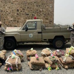 سمو ولي العهد يستقبل رئيس كوريا ويعقدان جلسة مباحثات رسمية