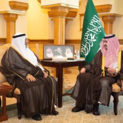 فيديو| سجين : تهريب المخدرات سبب في فقداني لنصف أسرتي دون أن أراهم