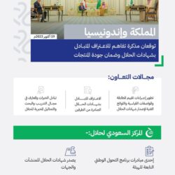 المنظمة العربية للهلال الأحمر والصليب الأحمر تدعو لفتح المعابر وتأمين الممرات لوصول المساعدات الإغاثية إلى غزة