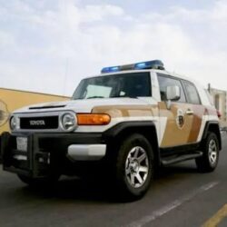 “مركز الغطاء النباتي” يرصد أكثر من 190 مخالفة للوائح نظام البيئة خلال 60 يومًا