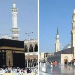 جامعة الطائف تحقق مراكز متقدمة في تصنيف “التايمز” العالمي