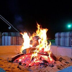 سلطنة عُمان تطالب بملاحقة مجرمي الحرب في جميع المجازر التي ارتكبها الاحتلال في عدوانه على قطاع غزة