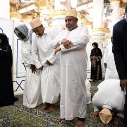 “بيئة العرضيات” تحتفي بيوم الغذاء العضوي