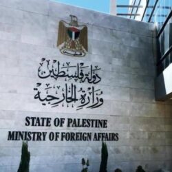 بيع شاهين فرخ بـ 300 ألف ريال في الليلة 23 من مزاد نادي الصقور السعودي